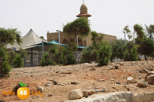 ardjabalyei5258 (3).JPG